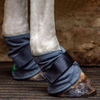 Pastern Boot